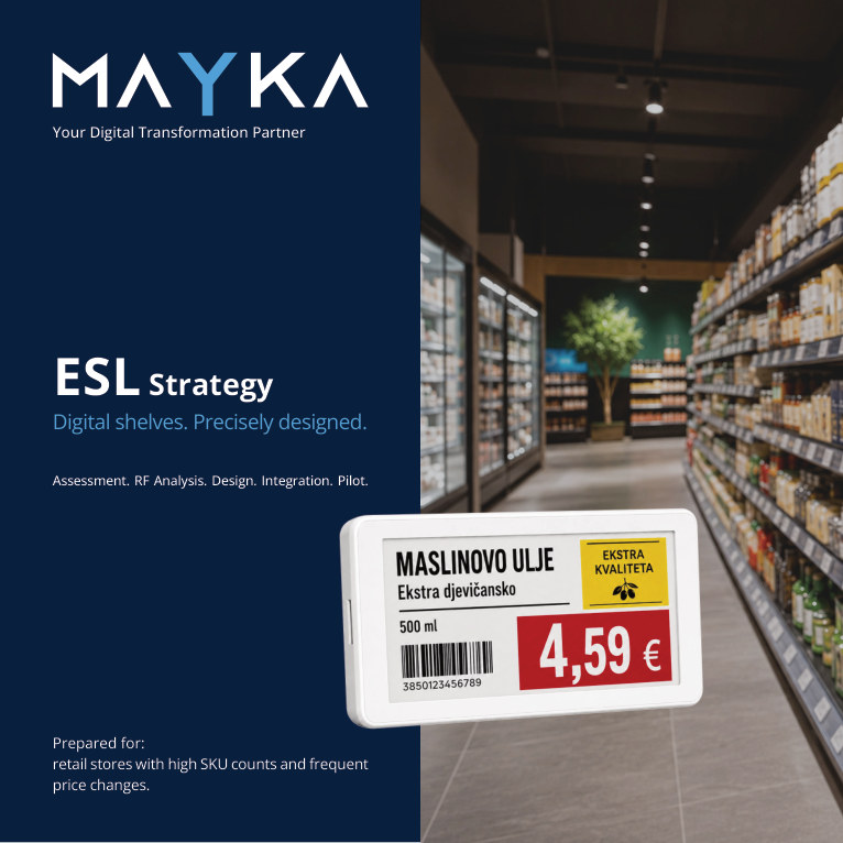 Cover of the ESL Strategy brochure